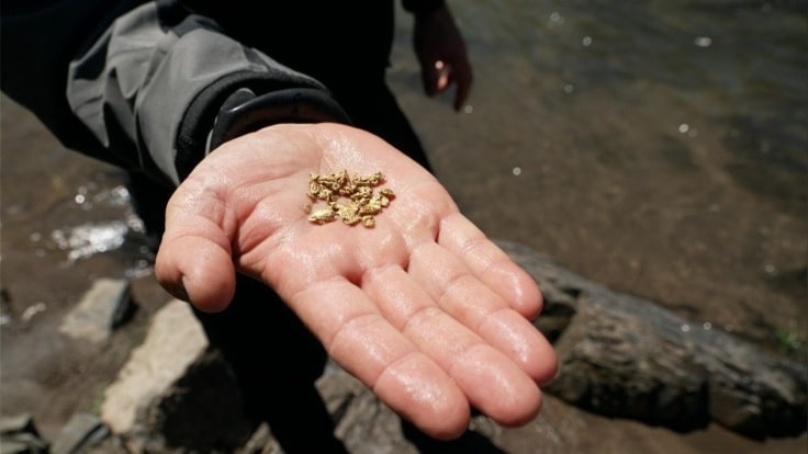 Fiebre del oro